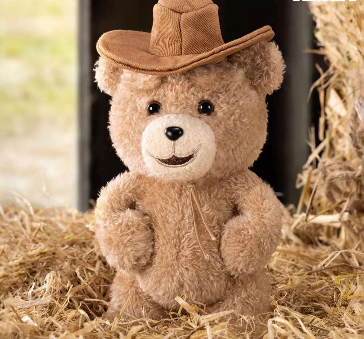 TED2 Teddy Bear Action Plush Pendant Series Blind Box